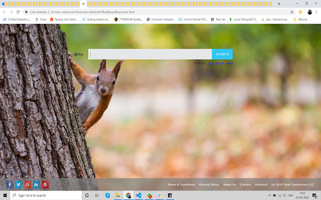 Cute Animals from Chrome web store to be run with OffiDocs Chromium online Cute Animals from Chrome web store to be run with OffiDocs Chromium online