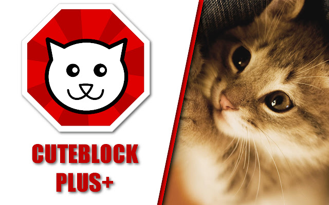 Cuteblock plus+ for memehub.sk from Chrome web store to be run with OffiDocs Chromium online Cuteblock plus+ for memehub.sk from Chrome web store to be run with OffiDocs Chromium online
