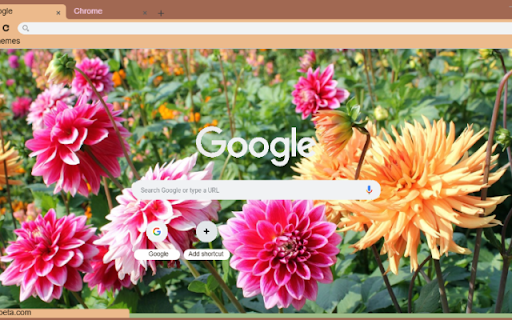 Dahlia from Chrome web store to be run with OffiDocs Chromium online Dahlia from Chrome web store to be run with OffiDocs Chromium online