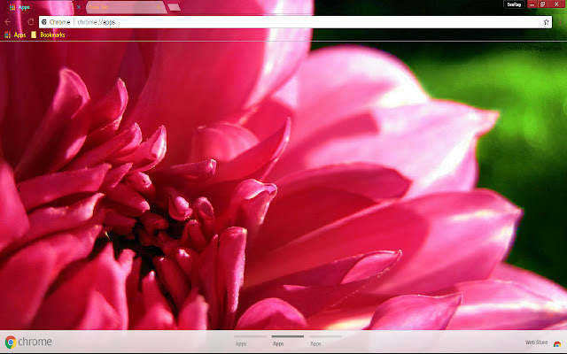 Dahlia Earth Flower Nature Pink from Chrome web store to be run with OffiDocs Chromium online Dahlia Earth Flower Nature Pink from Chrome web store to be run with OffiDocs Chromium online
