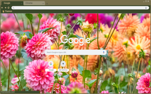 Dahlia flowers from Chrome web store to be run with OffiDocs Chromium online Dahlia flowers from Chrome web store to be run with OffiDocs Chromium online