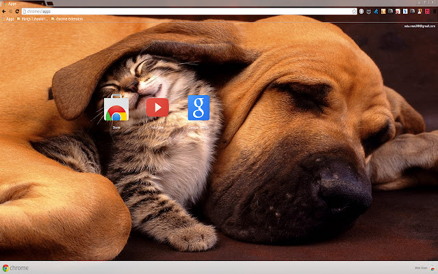 Dog and Kitten for 1366 X 768 resolution from Chrome web store to be run with OffiDocs Chromium online Dog and Kitten for 1366 X 768 resolution from Chrome web store to be run with OffiDocs Chromium online