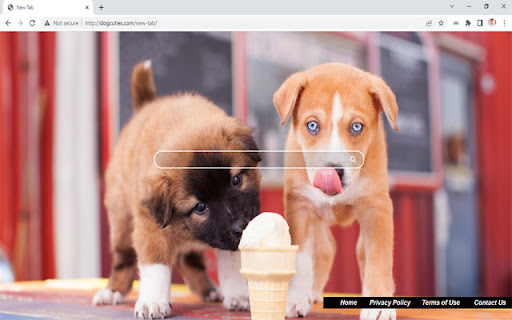 Dog Cuties from Chrome web store to be run with OffiDocs Chromium online Dog Cuties from Chrome web store to be run with OffiDocs Chromium online