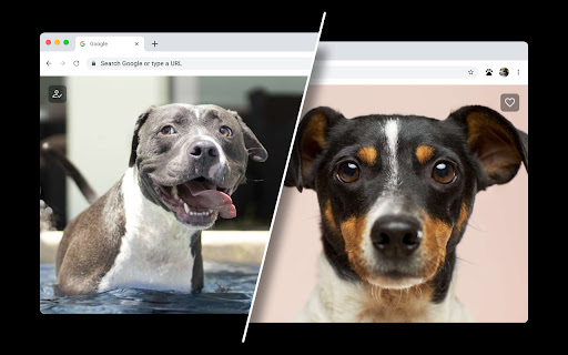Dog Wallpapers for New Tab from Chrome web store to be run with OffiDocs Chromium online Dog Wallpapers for New Tab from Chrome web store to be run with OffiDocs Chromium online
