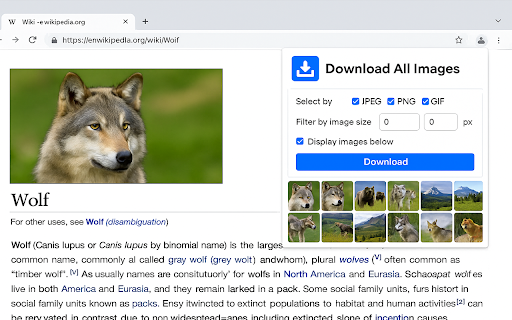 Download All Images from Chrome web store to be run with OffiDocs Chromium online Download All Images from Chrome web store to be run with OffiDocs Chromium online