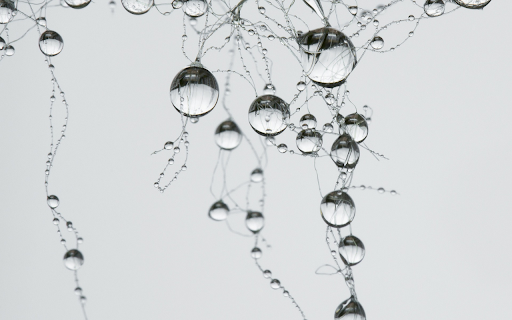 Drops of water on the wire from Chrome web store to be run with OffiDocs Chromium online Drops of water on the wire from Chrome web store to be run with OffiDocs Chromium online