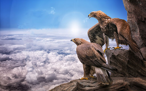Eagles Browser Theme from Chrome web store to be run with OffiDocs Chromium online Eagles Browser Theme from Chrome web store to be run with OffiDocs Chromium online