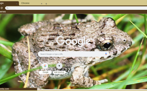 Ech from Chrome web store to be run with OffiDocs Chromium online Ech from Chrome web store to be run with OffiDocs Chromium online