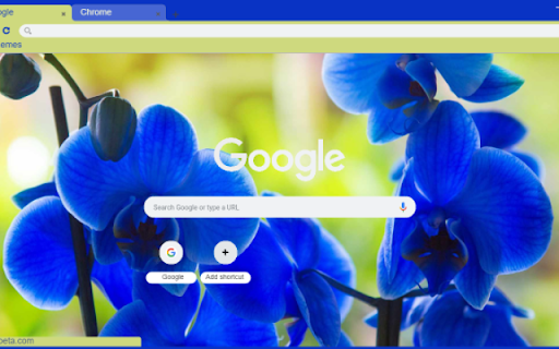 Electric Blue Orchid from Chrome web store to be run with OffiDocs Chromium online Electric Blue Orchid from Chrome web store to be run with OffiDocs Chromium online