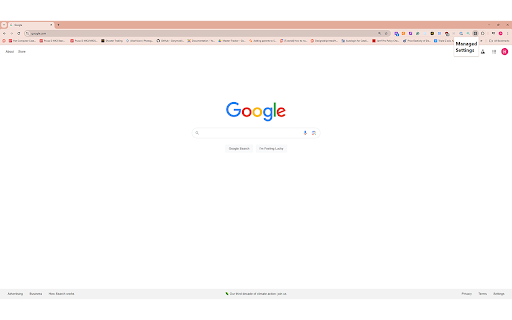 Enterprise Extension from Chrome web store to be run with OffiDocs Chromium online Enterprise Extension from Chrome web store to be run with OffiDocs Chromium online