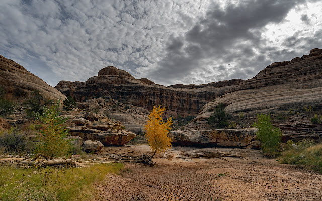 Fall colors in Grand Gulch, UT from Chrome web store to be run with OffiDocs Chromium online Fall colors in Grand Gulch, UT from Chrome web store to be run with OffiDocs Chromium online
