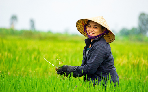 Farmers smile from Chrome web store to be run with OffiDocs Chromium online Farmers smile from Chrome web store to be run with OffiDocs Chromium online