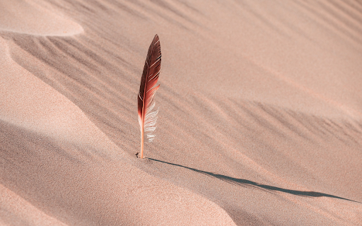 Feathers on the sand from Chrome web store to be run with OffiDocs Chromium online Feathers on the sand from Chrome web store to be run with OffiDocs Chromium online