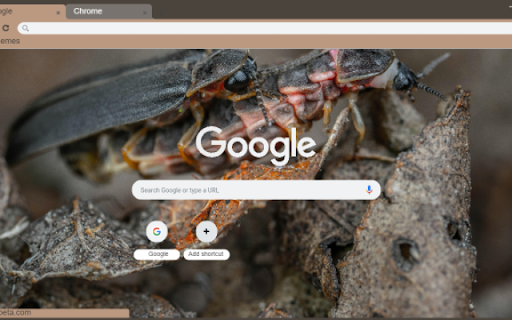 Firefly from Chrome web store to be run with OffiDocs Chromium online Firefly from Chrome web store to be run with OffiDocs Chromium online