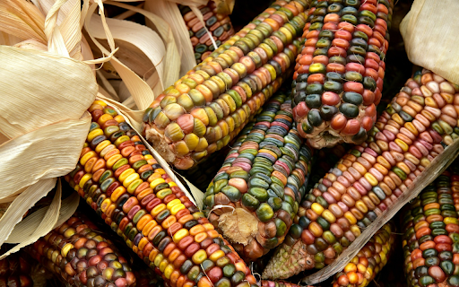 Five colored corn from Chrome web store to be run with OffiDocs Chromium online Five colored corn from Chrome web store to be run with OffiDocs Chromium online