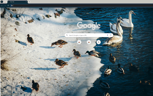 flock of geese and swans bathing in an icy river from Chrome web store to be run with OffiDocs Chromium online flock of geese and swans bathing in an icy river from Chrome web store to be run with OffiDocs Chromium online
