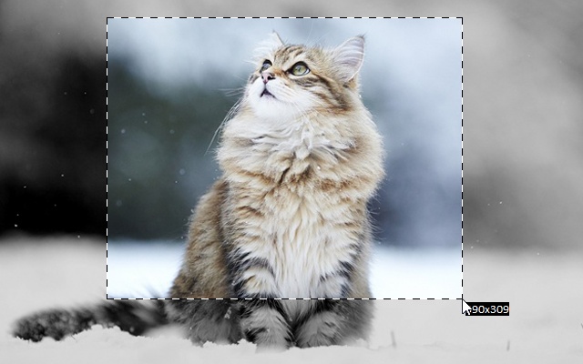 Floomby from Chrome web store to be run with OffiDocs Chromium online Floomby from Chrome web store to be run with OffiDocs Chromium online