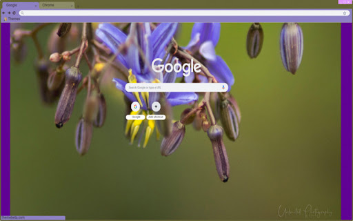 Floral from Chrome web store to be run with OffiDocs Chromium online Floral from Chrome web store to be run with OffiDocs Chromium online