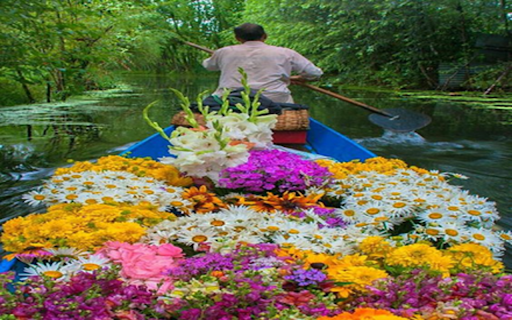 Flower boat on the river wallpaper from Chrome web store to be run with OffiDocs Chromium online Flower boat on the river wallpaper from Chrome web store to be run with OffiDocs Chromium online