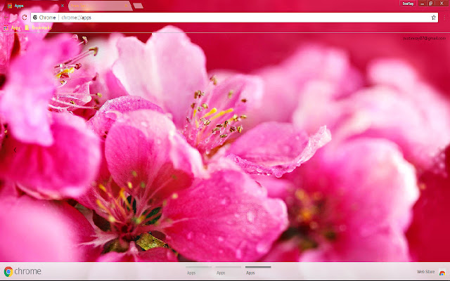 Flower Nature Pastel Pink from Chrome web store to be run with OffiDocs Chromium online Flower Nature Pastel Pink from Chrome web store to be run with OffiDocs Chromium online