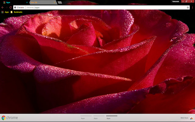Flower Red Rose from Chrome web store to be run with OffiDocs Chromium online Flower Red Rose from Chrome web store to be run with OffiDocs Chromium online