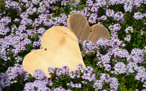 Flowers and hearts from Chrome web store to be run with OffiDocs Chromium online Flowers and hearts from Chrome web store to be run with OffiDocs Chromium online