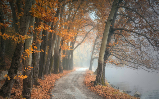 Forest along the lake from Chrome web store to be run with OffiDocs Chromium online Forest along the lake from Chrome web store to be run with OffiDocs Chromium online
