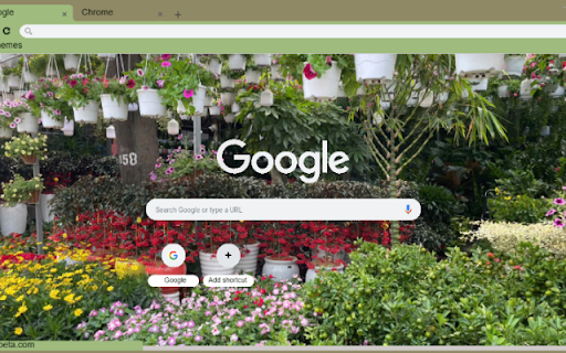 Foxface from Chrome web store to be run with OffiDocs Chromium online Foxface from Chrome web store to be run with OffiDocs Chromium online