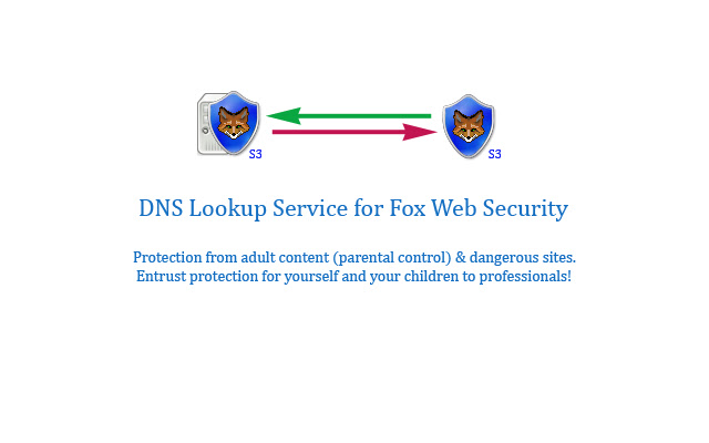 Fox Web Security (DNS Lookup Service) from Chrome web store to be run with OffiDocs Chromium online Fox Web Security (DNS Lookup Service) from Chrome web store to be run with OffiDocs Chromium online