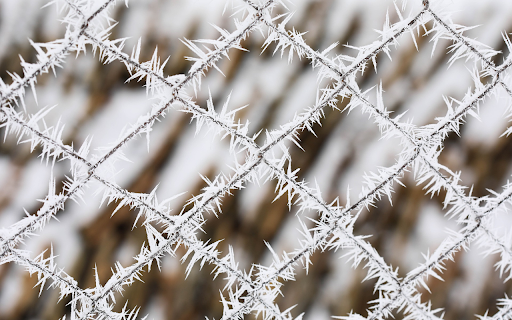 Frozen Fence from Chrome web store to be run with OffiDocs Chromium online Frozen Fence from Chrome web store to be run with OffiDocs Chromium online