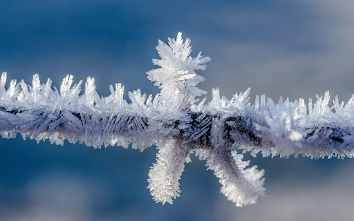 Frozen steel wire from Chrome web store to be run with OffiDocs Chromium online Frozen steel wire from Chrome web store to be run with OffiDocs Chromium online