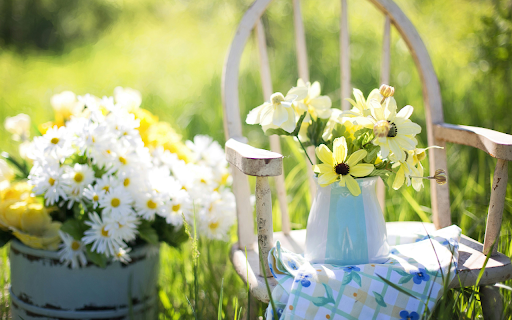 Full basket of white chrysanthemums from Chrome web store to be run with OffiDocs Chromium online Full basket of white chrysanthemums from Chrome web store to be run with OffiDocs Chromium online