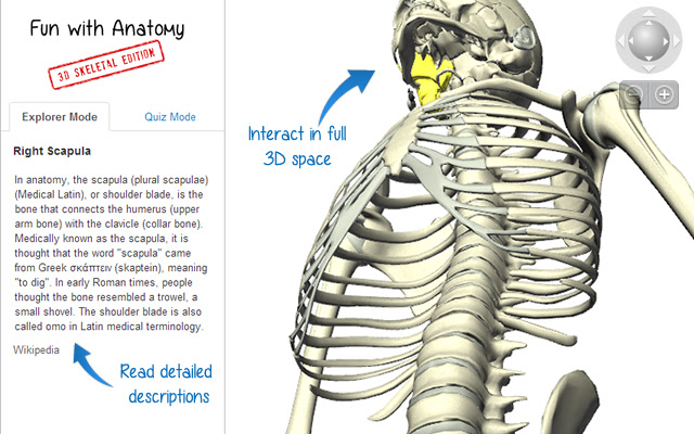 Fun with Anatomy: 3D Skeletal Edition from Chrome web store to be run with OffiDocs Chromium online Fun with Anatomy: 3D Skeletal Edition from Chrome web store to be run with OffiDocs Chromium online