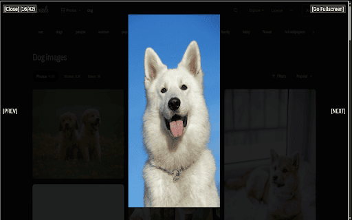 Gallerify from Chrome web store to be run with OffiDocs Chromium online Gallerify from Chrome web store to be run with OffiDocs Chromium online