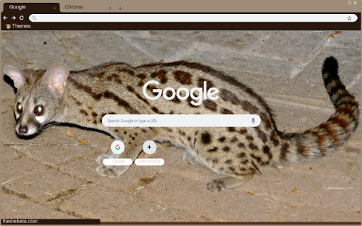 Genet from Chrome web store to be run with OffiDocs Chromium online Genet from Chrome web store to be run with OffiDocs Chromium online