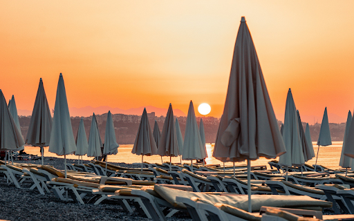 Giant umbrella forest from Chrome web store to be run with OffiDocs Chromium online Giant umbrella forest from Chrome web store to be run with OffiDocs Chromium online