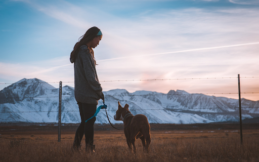 Girl and dog walking from Chrome web store to be run with OffiDocs Chromium online Girl and dog walking from Chrome web store to be run with OffiDocs Chromium online
