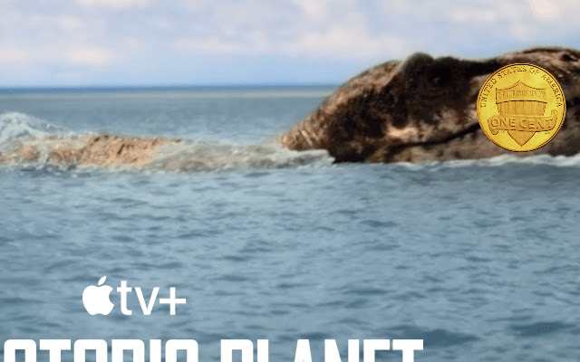 GivingTuesday from Chrome web store to be run with OffiDocs Chromium online GivingTuesday from Chrome web store to be run with OffiDocs Chromium online