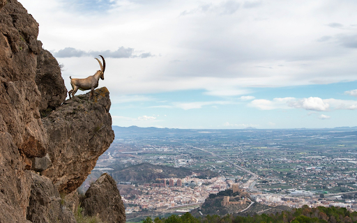 Goat on the cliff from Chrome web store to be run with OffiDocs Chromium online Goat on the cliff from Chrome web store to be run with OffiDocs Chromium online