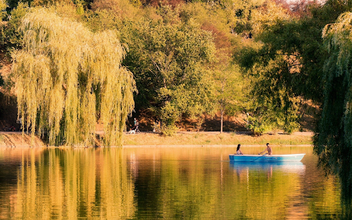 Golden Lake Serenity from Chrome web store to be run with OffiDocs Chromium online Golden Lake Serenity from Chrome web store to be run with OffiDocs Chromium online