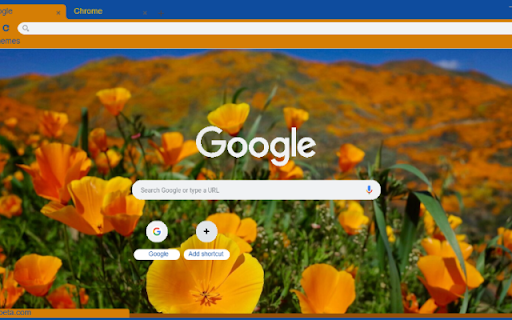 Golden Poppy from Chrome web store to be run with OffiDocs Chromium online Golden Poppy from Chrome web store to be run with OffiDocs Chromium online