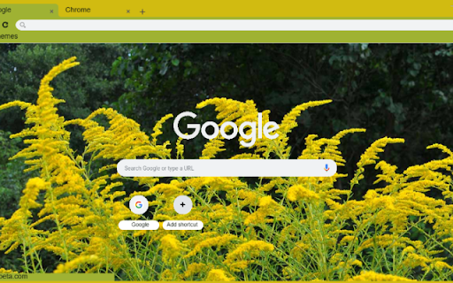 Goldenrod from Chrome web store to be run with OffiDocs Chromium online Goldenrod from Chrome web store to be run with OffiDocs Chromium online