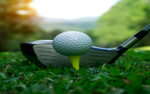 Golf from Chrome web store to be run with OffiDocs Chromium online Golf from Chrome web store to be run with OffiDocs Chromium online