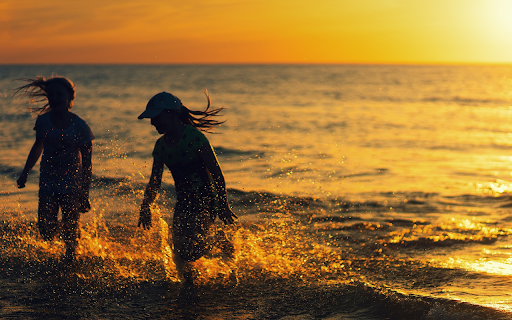 Go to the beach from Chrome web store to be run with OffiDocs Chromium online Go to the beach from Chrome web store to be run with OffiDocs Chromium online