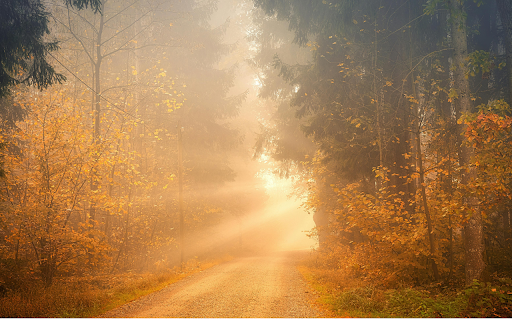 Green and Brown Trees Near Road from Chrome web store to be run with OffiDocs Chromium online Green and Brown Trees Near Road from Chrome web store to be run with OffiDocs Chromium online