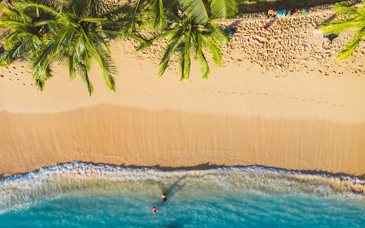 Green Coconut and the Sea from Chrome web store to be run with OffiDocs Chromium online Green Coconut and the Sea from Chrome web store to be run with OffiDocs Chromium online