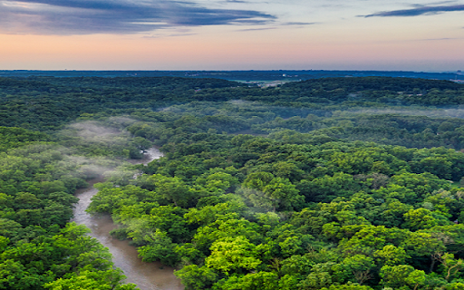 Green Forest from Chrome web store to be run with OffiDocs Chromium online Green Forest from Chrome web store to be run with OffiDocs Chromium online