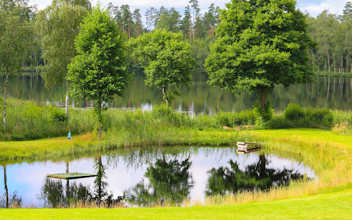 Green grass lake from Chrome web store to be run with OffiDocs Chromium online Green grass lake from Chrome web store to be run with OffiDocs Chromium online
