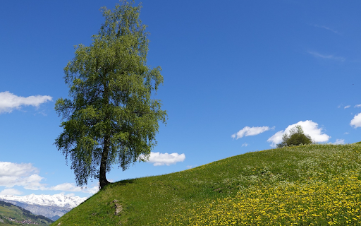 Green trees on flower hill from Chrome web store to be run with OffiDocs Chromium online Green trees on flower hill from Chrome web store to be run with OffiDocs Chromium online