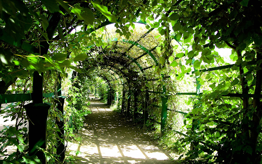 Green tunnel from Chrome web store to be run with OffiDocs Chromium online Green tunnel from Chrome web store to be run with OffiDocs Chromium online
